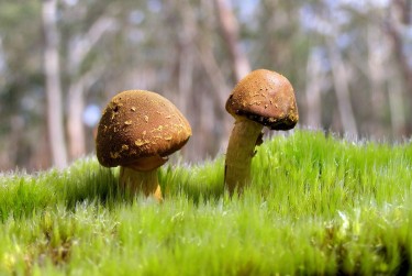 广州越秀区9私人老板放款：轻松融资的秘密通道